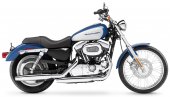 2005 Harley-Davidson XL 1200 C Sportster Custom photo